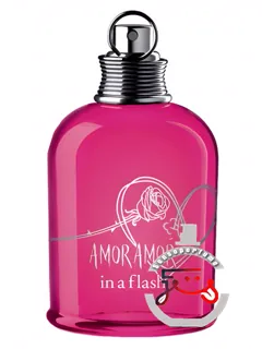 آمور آمور این اَ فلَش کَشَرِل | amor amor in a flash cacharel